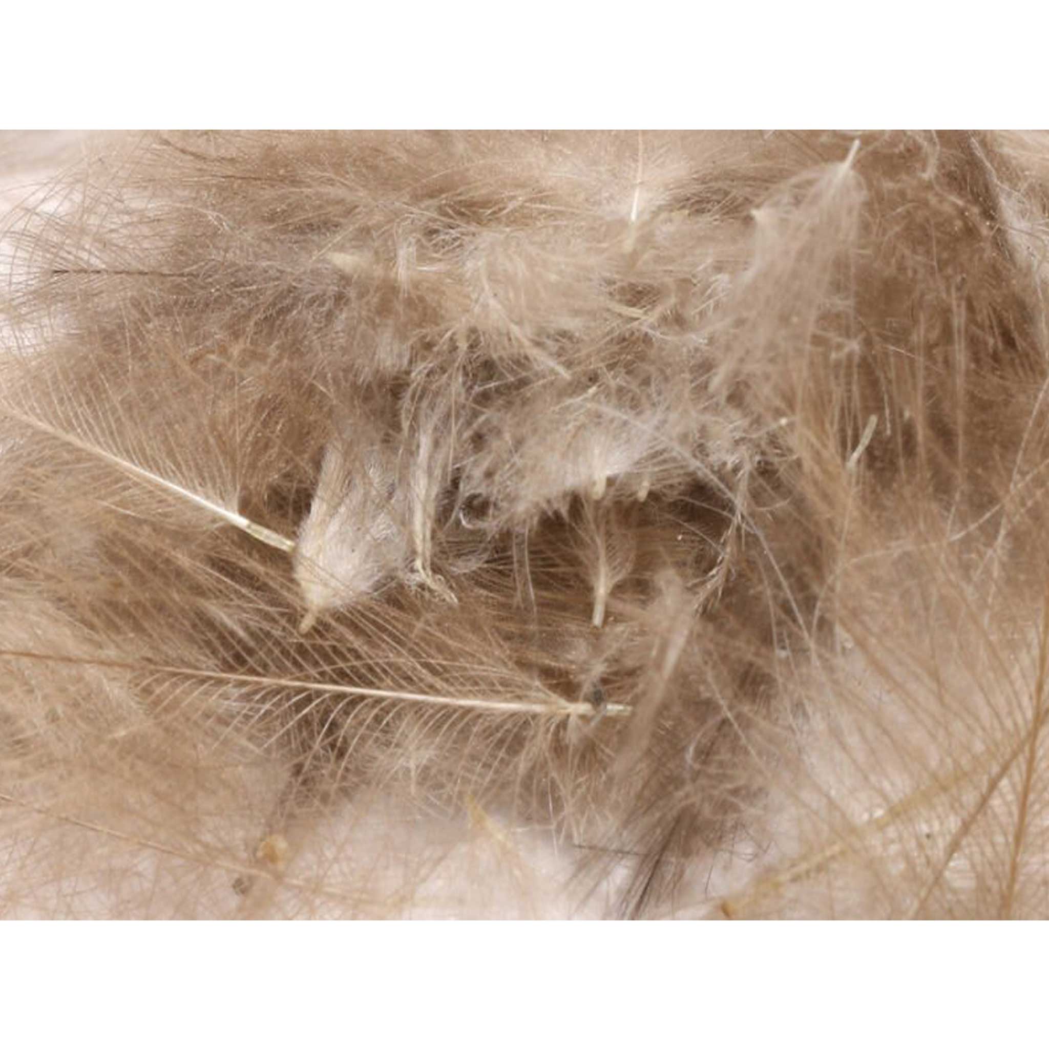 Hareline CDC - Image 10