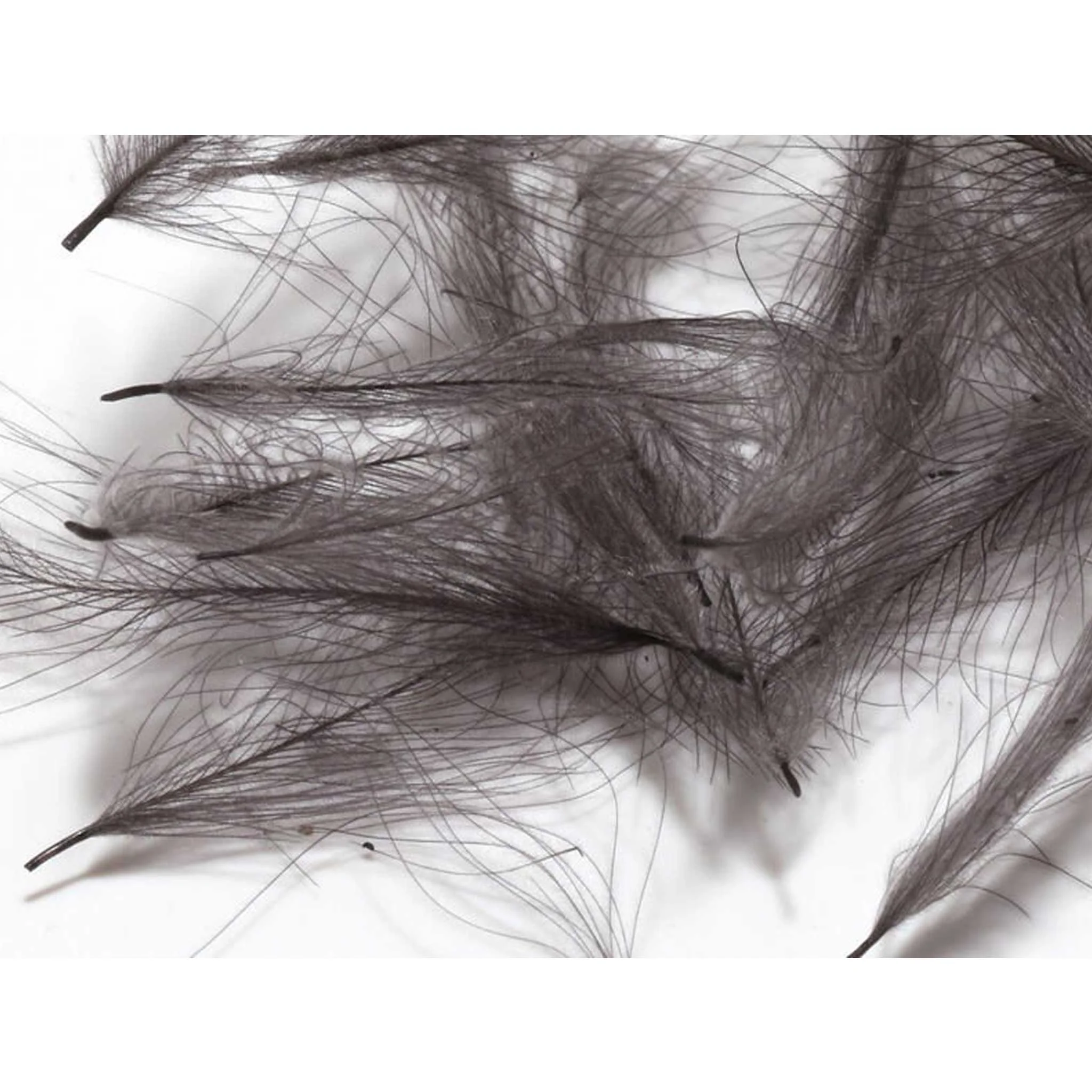 Hareline CDC - Image 9